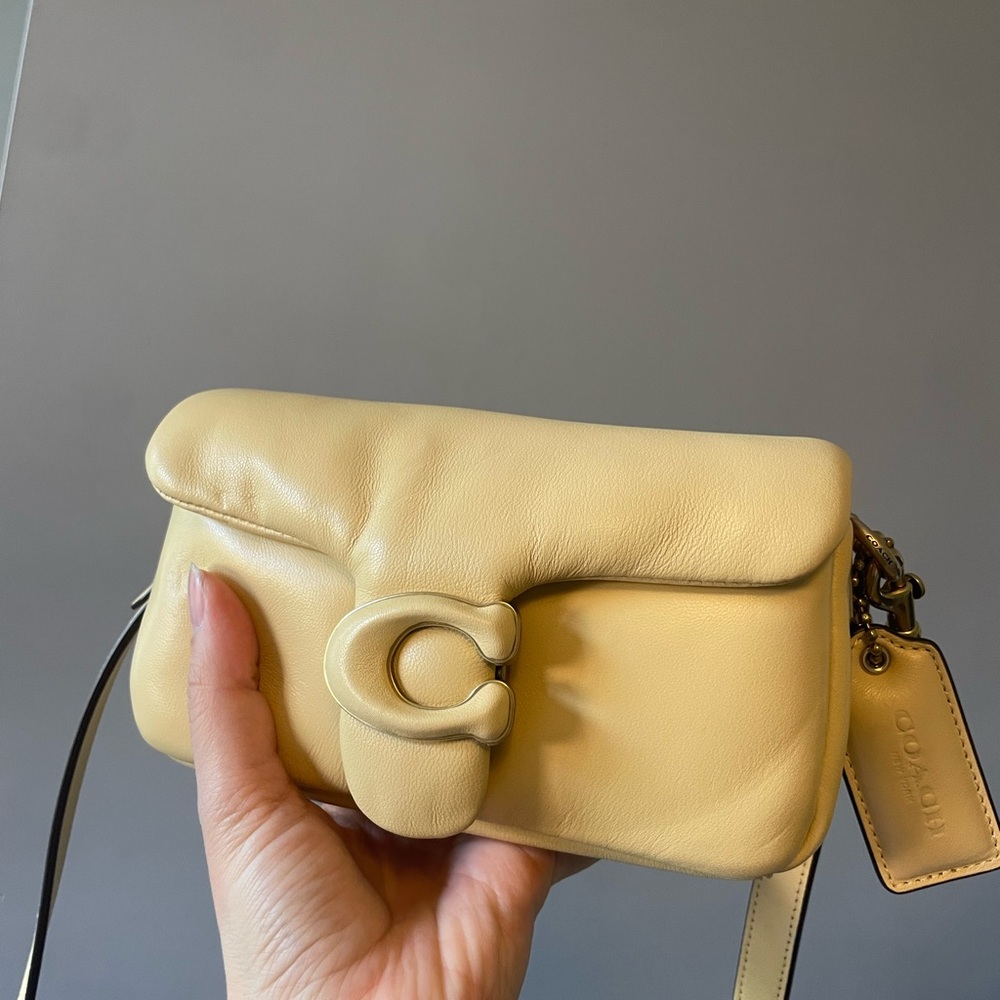 Coach Pillow Tabby 18